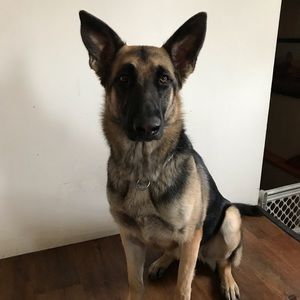 Meet your Posher, Aliyah